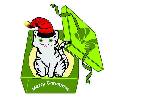 Christmas Cat in a Gift Box Embroidery Review
