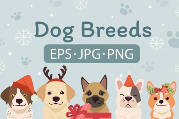 Dog Christmas Set 03 Review